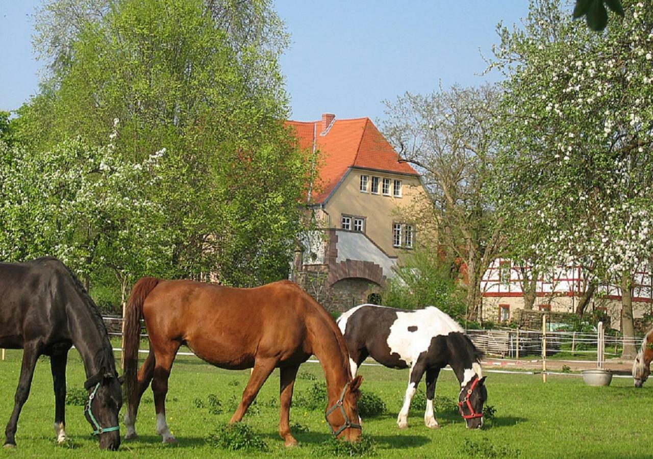 Ferienwohnung Gutshaus von Bismarck An der Schmucke Exterior foto